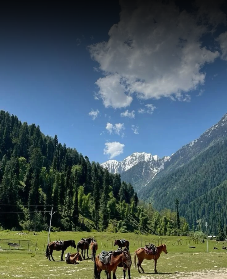 Kashmir Tour Package from Pune  4 Nights 5 Days